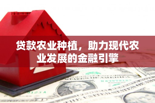 永清贷款农业种植，助力现代农业发展的金融引擎