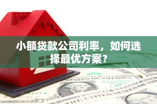 永清小额贷款公司利率，如何选择最优方案？
