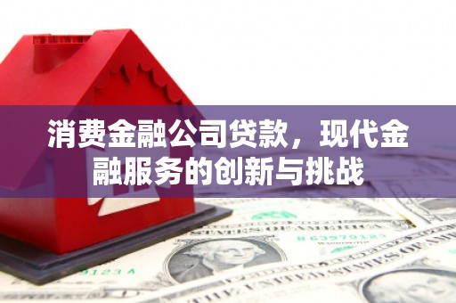永清消费金融公司贷款，现代金融服务的创新与挑战