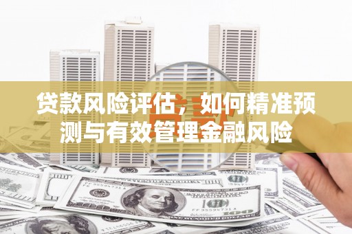 永清贷款风险评估，如何精准预测与有效管理金融风险