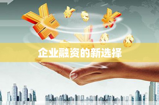 永清企业融资的新选择