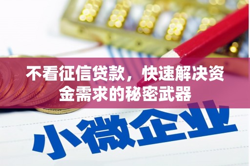 永清不看征信贷款，快速解决资金需求的秘密武器