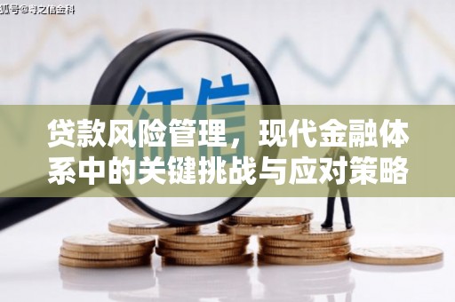 永清贷款风险管理，现代金融体系中的关键挑战与应对策略