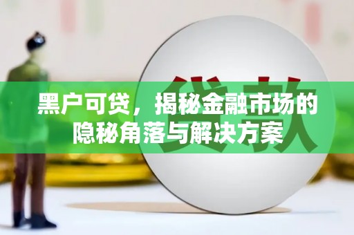 永清黑户可贷，揭秘金融市场的隐秘角落与解决方案
