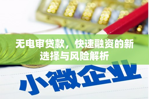 永清无电审贷款，快速融资的新选择与风险解析