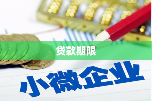 永清贷款期限