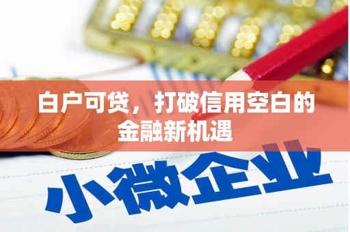 永清白户可贷，打破信用空白的金融新机遇