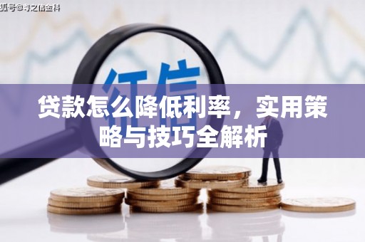 永清贷款怎么降低利率，实用策略与技巧全解析