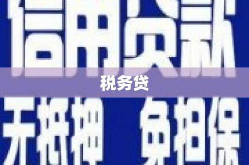 永清税务贷