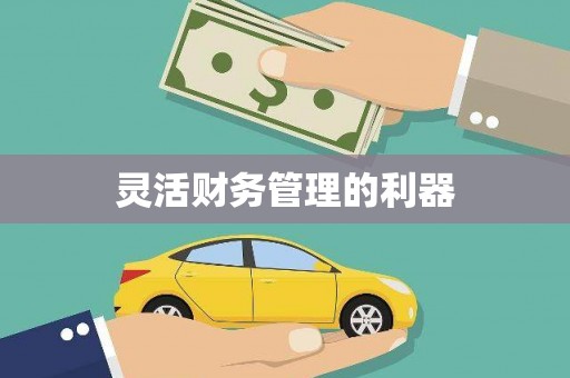 永清灵活财务管理的利器