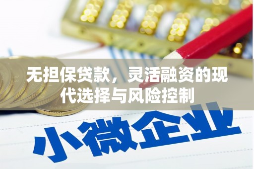 永清无担保贷款，灵活融资的现代选择与风险控制