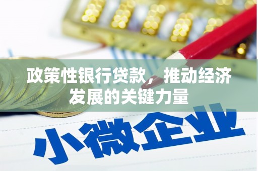 永清政策性银行贷款，推动经济发展的关键力量