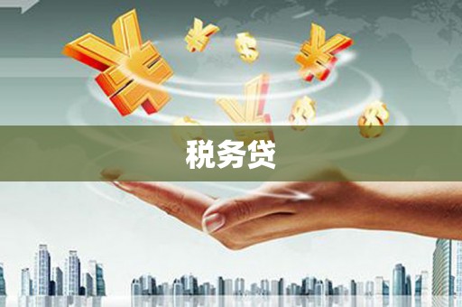 永清税务贷