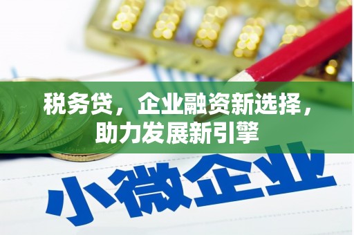 永清税务贷，企业融资新选择，助力发展新引擎