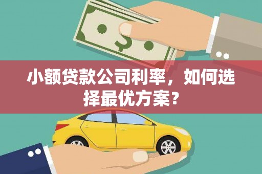 永清小额贷款公司利率，如何选择最优方案？