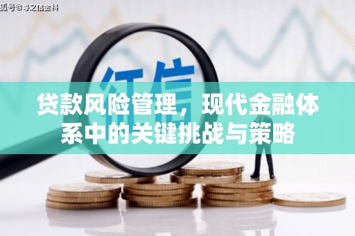 永清贷款风险管理，现代金融体系中的关键挑战与策略
