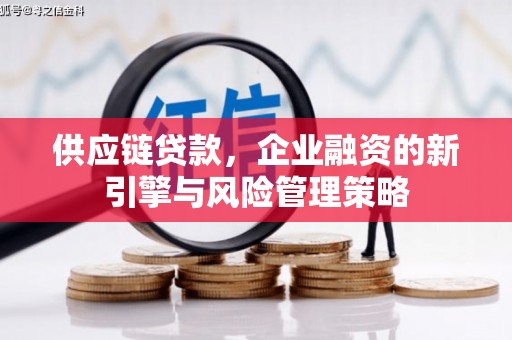 永清供应链贷款，企业融资的新引擎与风险管理策略