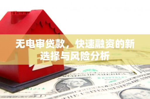 永清无电审贷款，快速融资的新选择与风险分析