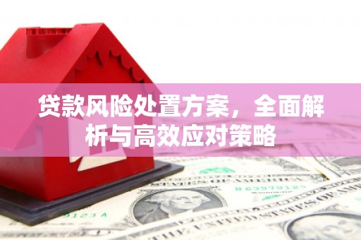 永清贷款风险处置方案，全面解析与高效应对策略