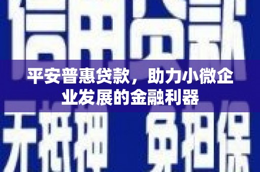 永清平安普惠贷款，助力小微企业发展的金融利器