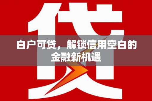 永清白户可贷，解锁信用空白的金融新机遇