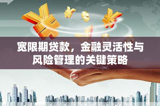 永清宽限期贷款，金融灵活性与风险管理的关键策略