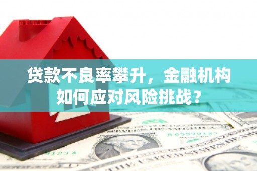 永清贷款不良率攀升，金融机构如何应对风险挑战？