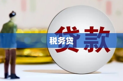 永清税务贷
