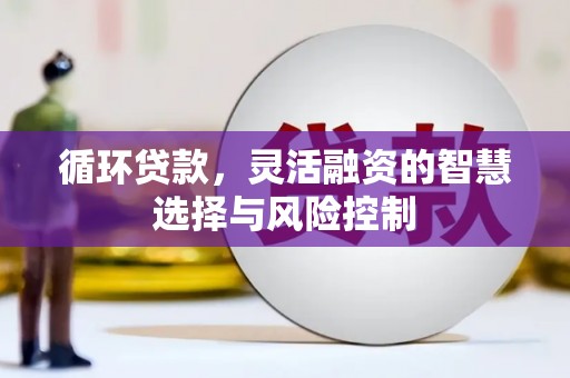 永清循环贷款，灵活融资的智慧选择与风险控制