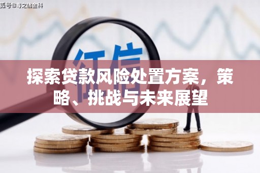永清探索贷款风险处置方案，策略、挑战与未来展望