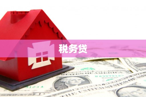 永清税务贷