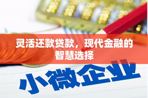 永清灵活还款贷款，现代金融的智慧选择