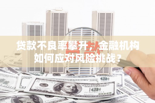 永清贷款不良率攀升，金融机构如何应对风险挑战？