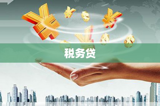 永清税务贷