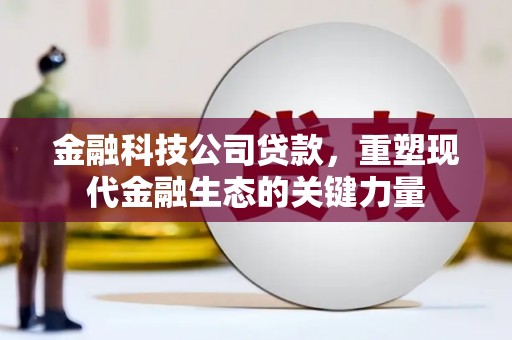 永清金融科技公司贷款，重塑现代金融生态的关键力量