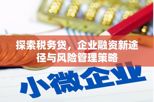 永清探索税务贷，企业融资新途径与风险管理策略