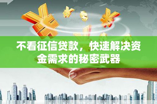 永清不看征信贷款，快速解决资金需求的秘密武器