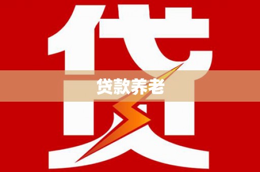 永清贷款养老