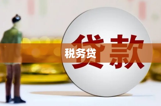 永清税务贷