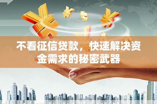 永清不看征信贷款，快速解决资金需求的秘密武器