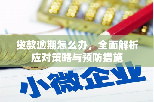 永清贷款逾期怎么办，全面解析应对策略与预防措施