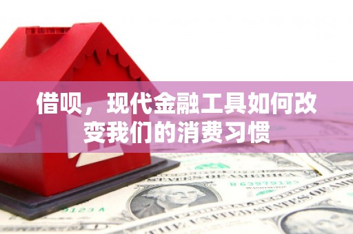 永清借呗，现代金融工具如何改变我们的消费习惯