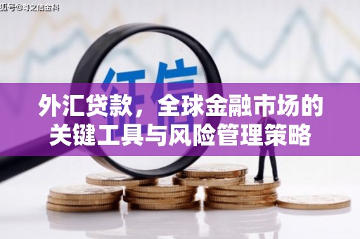永清外汇贷款，全球金融市场的关键工具与风险管理策略