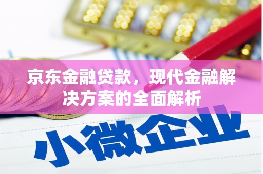 永清京东金融贷款，现代金融解决方案的全面解析
