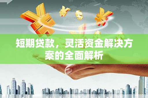 永清短期贷款，灵活资金解决方案的全面解析