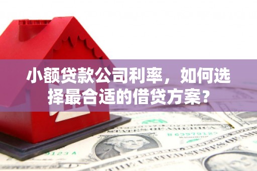 永清小额贷款公司利率，如何选择最合适的借贷方案？