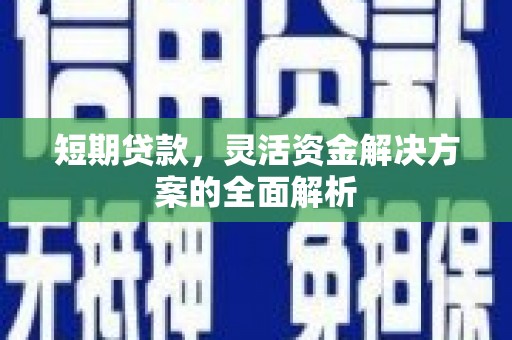 永清短期贷款，灵活资金解决方案的全面解析
