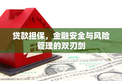 永清贷款担保，金融安全与风险管理的双刃剑