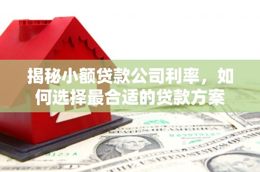 永清揭秘小额贷款公司利率，如何选择最合适的贷款方案
