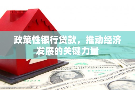 永清政策性银行贷款，推动经济发展的关键力量